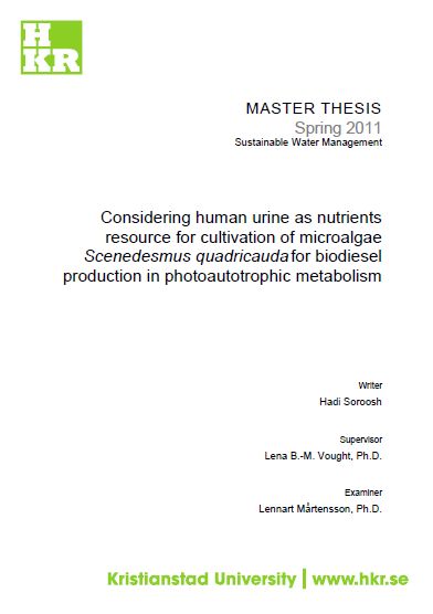 microalgae biodiesel thesis microalgae biodiesel thesis