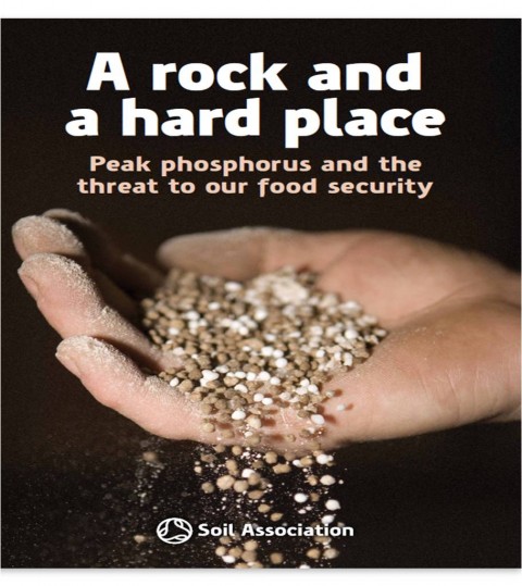 A Rock And A Hard Place Resources Susana A Rock And A Hard Place Resources Susana