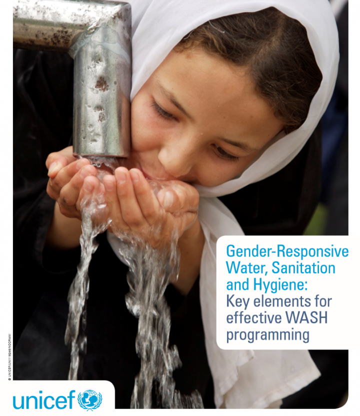 Gender-Responsive Water, Sanitation and Hygiene: Key elements for effective WASH programming