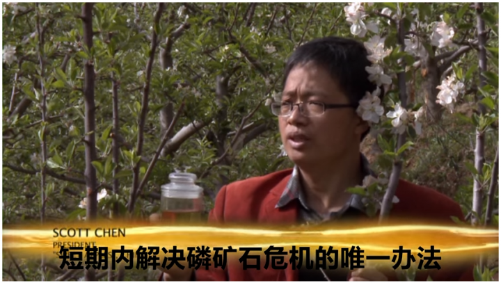 Urine use in China as fertiliser for apple trees (Scott Chen)