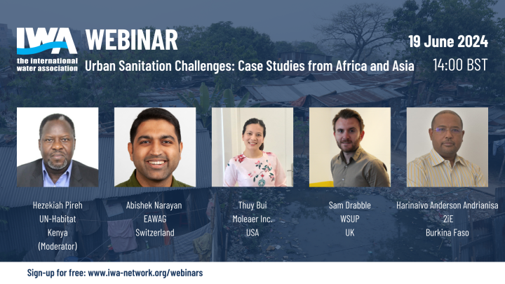 Urban Sanitation Challenges: Case Studies from Africa and Asia
